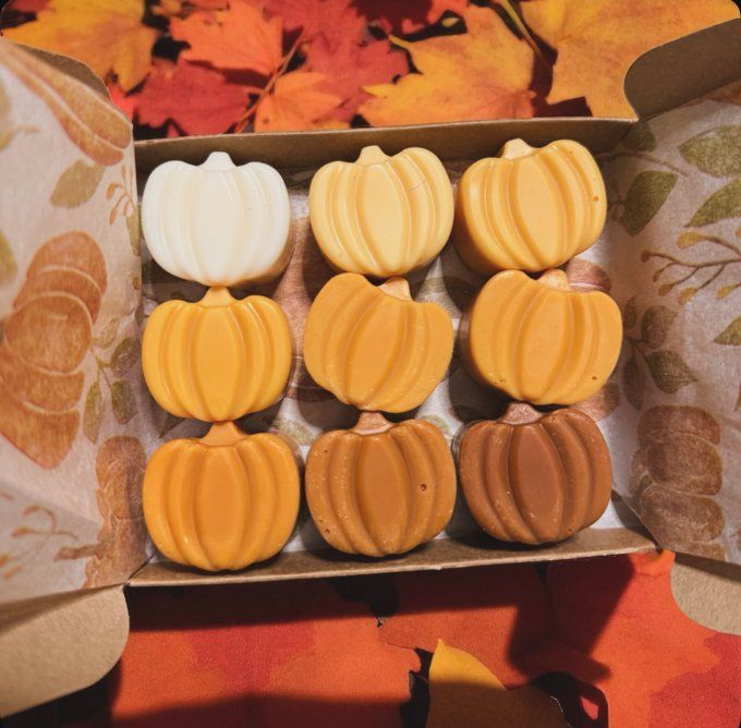 Coffret de fondants parfumés "réconfort d'automne" 