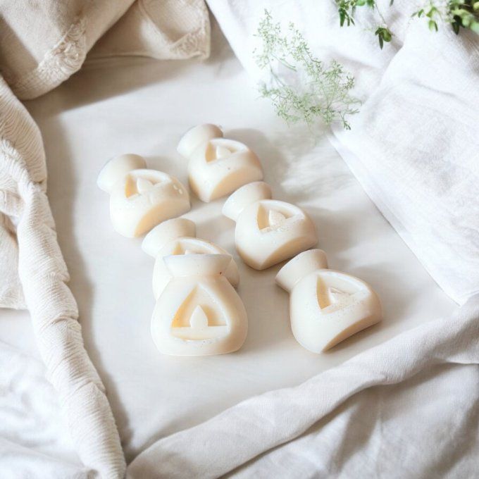 lot de 6 fondants parfumés petit brûleurs