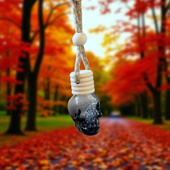 Diffuseur de parfum tête de mort noire fumé pour voiture 7.5ml  